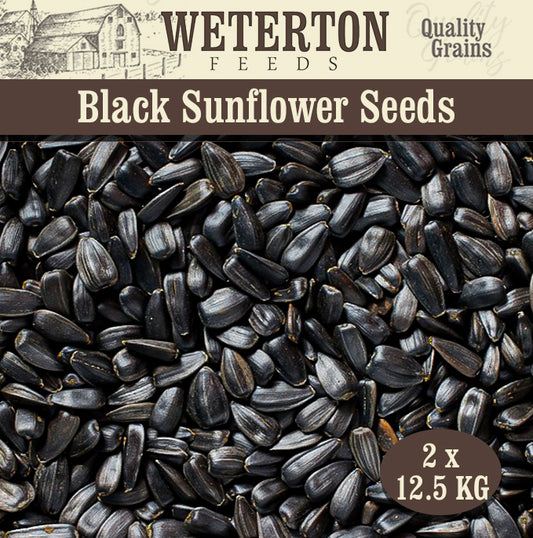 25kg Black Sunflower (2 x 12.5kg)