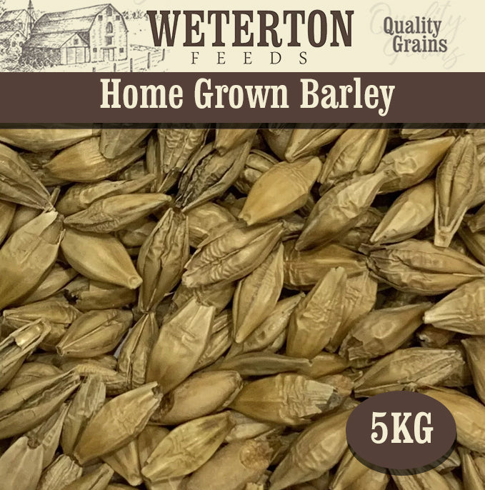 5Kg Home Grown Barley