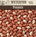 Peanuts for Wild Bird