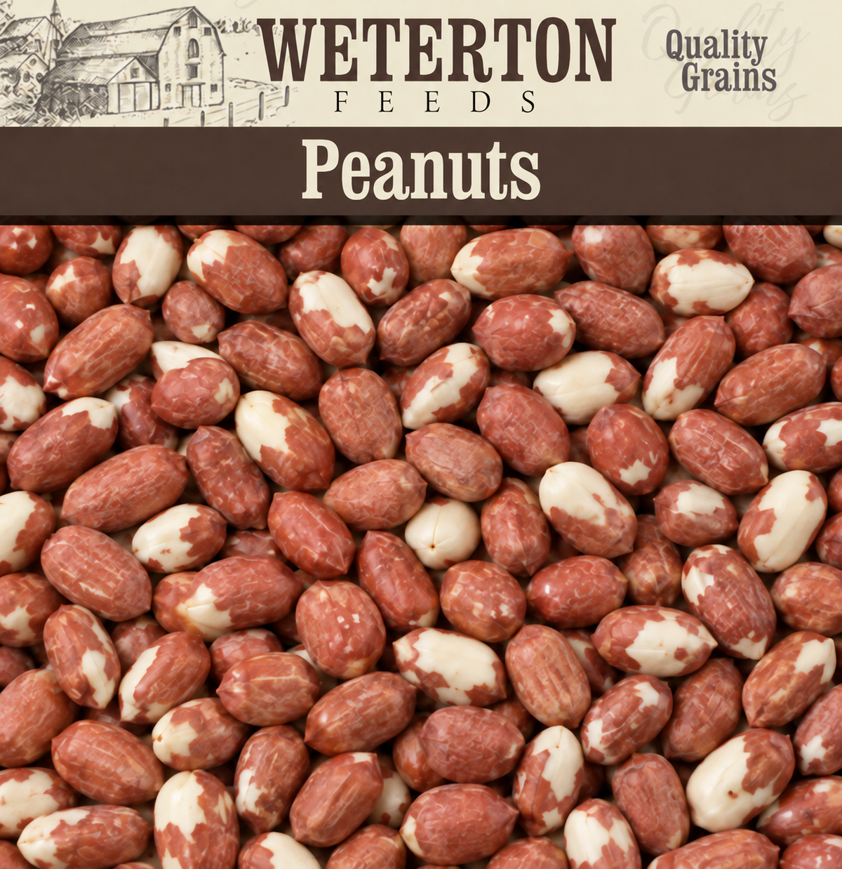Peanuts for Wild Bird
