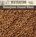 Homegrown Cleaned Wheat