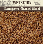 Homegrown Cleaned Wheat