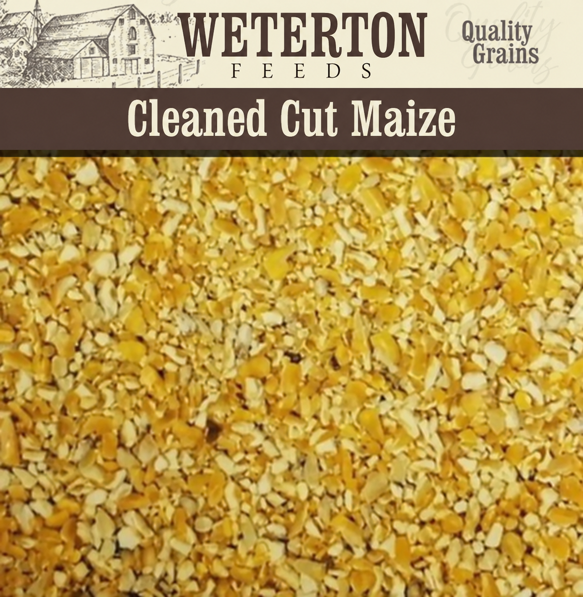 Cleaned Cut Maize