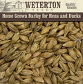 Home Grown Barley