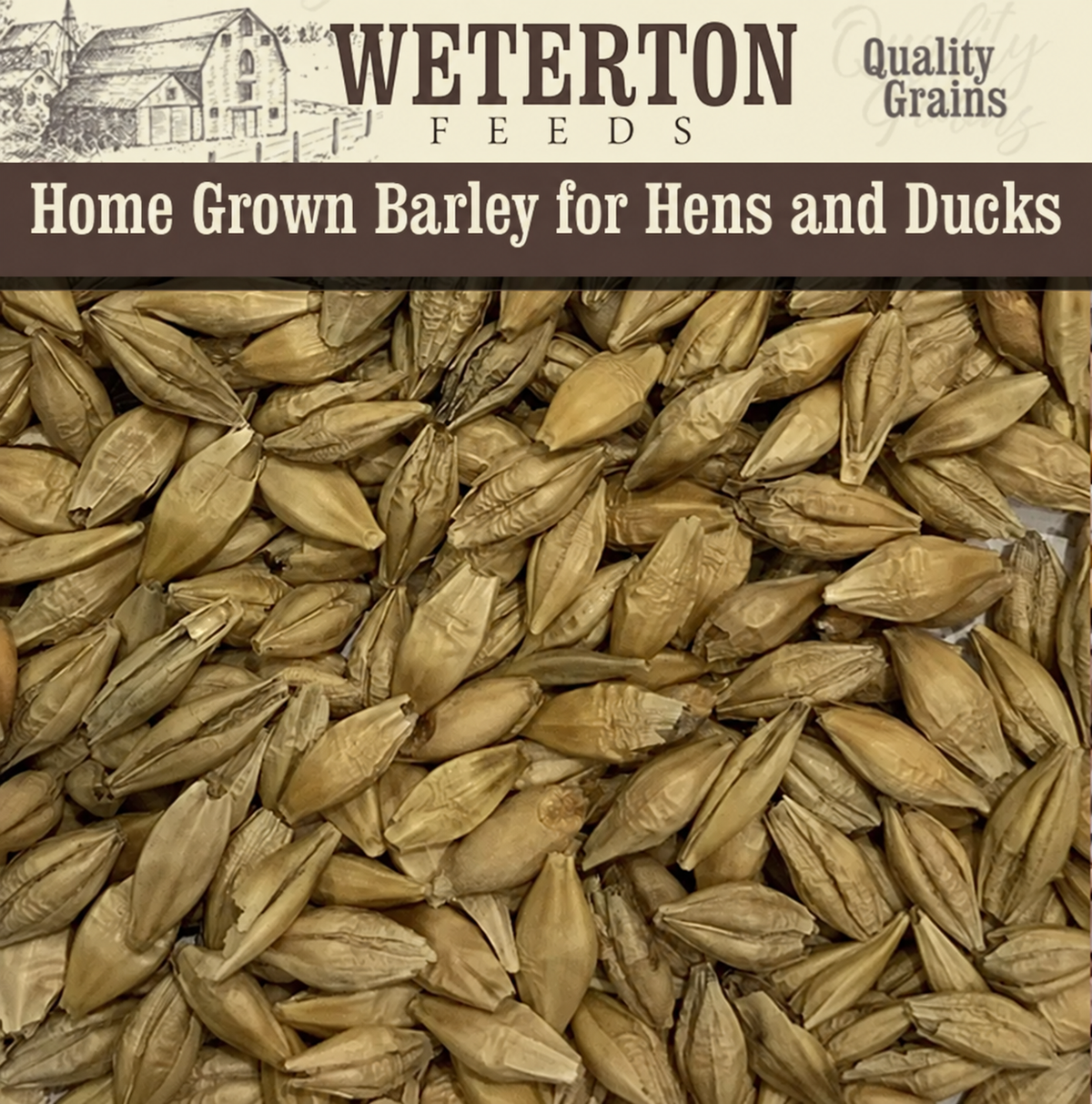 Home Grown Barley