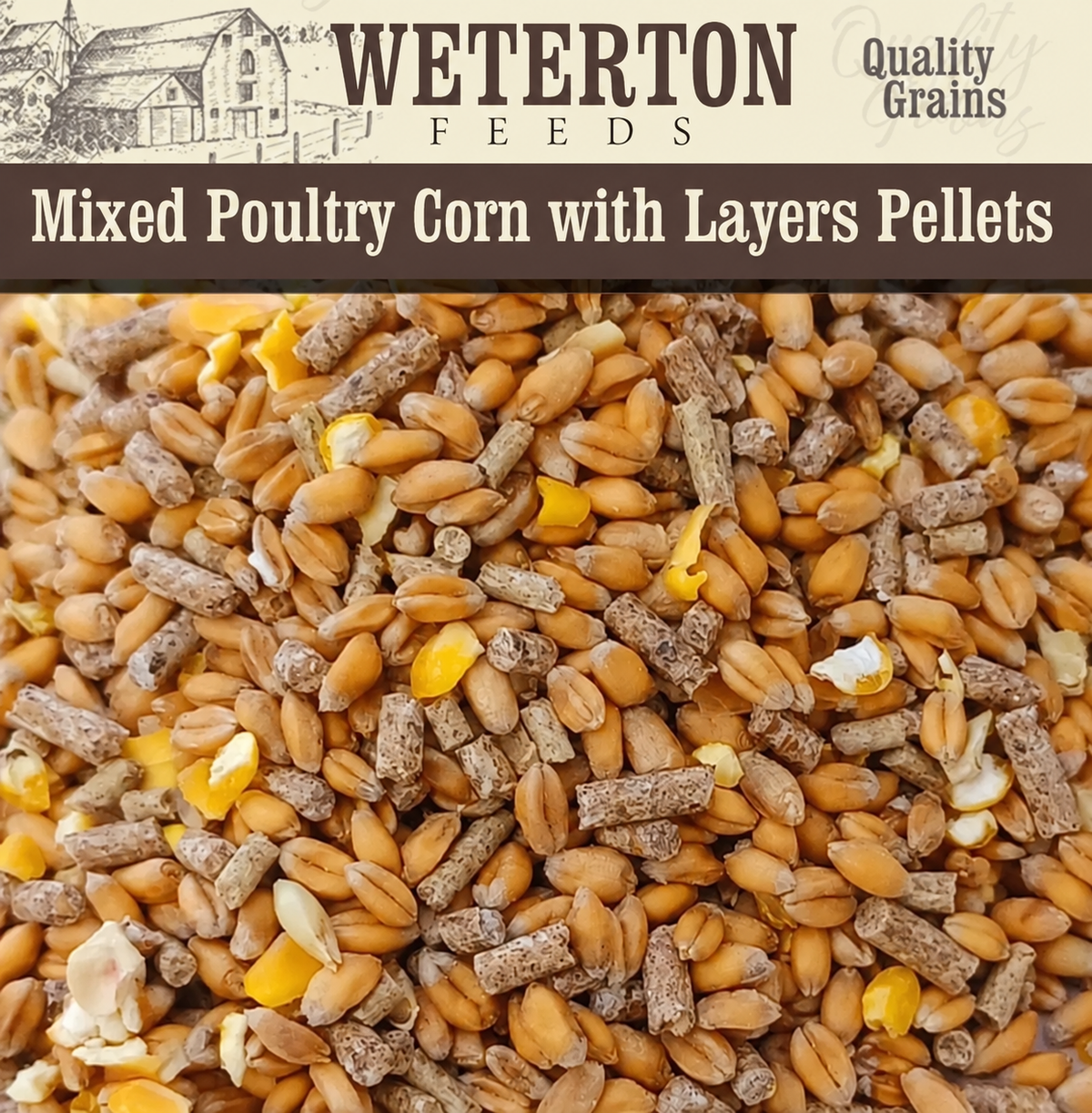 Mixed Poultry Corn with Layers Pellets