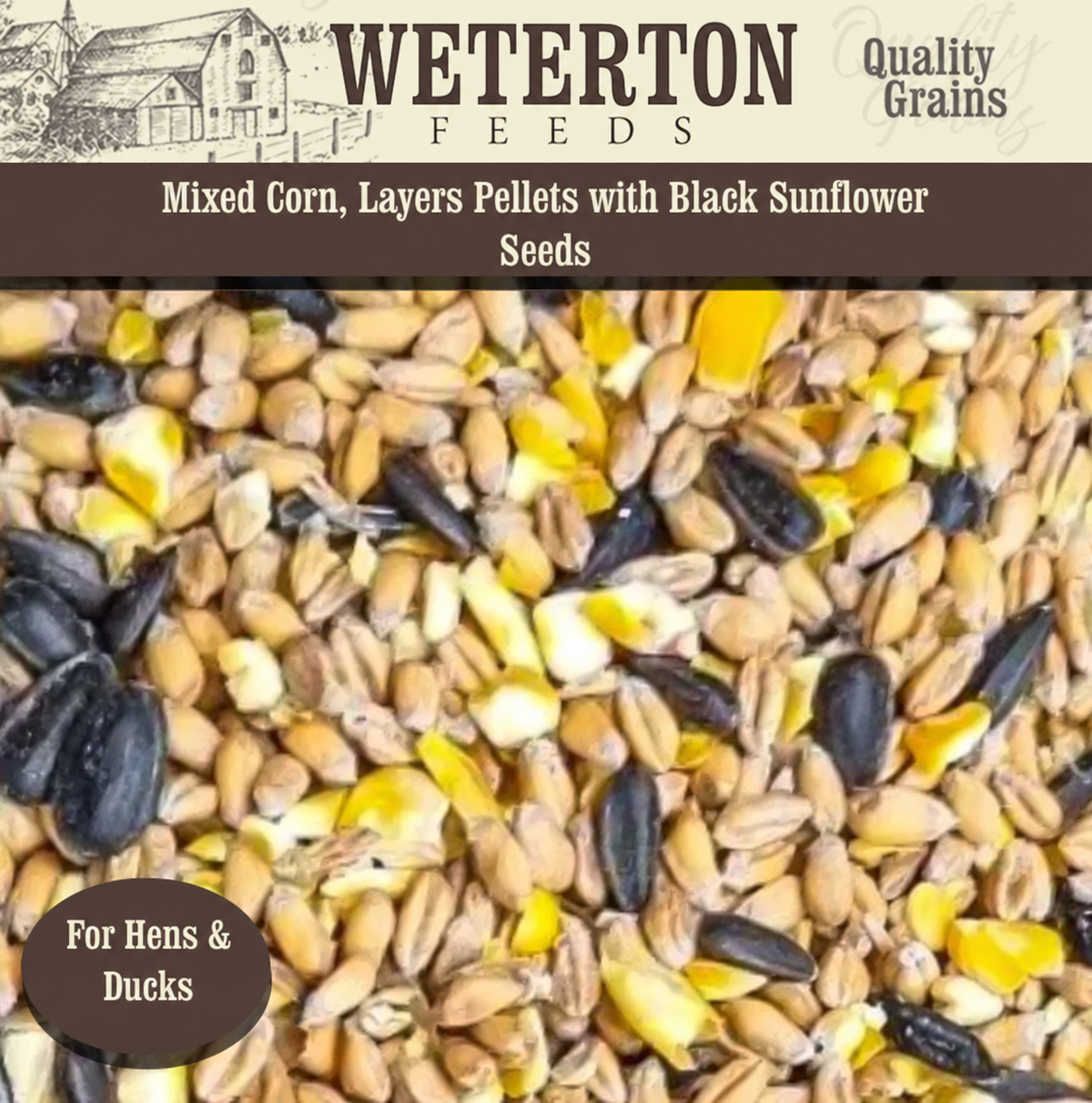Mixed Corn With Black Sunflower Seeds