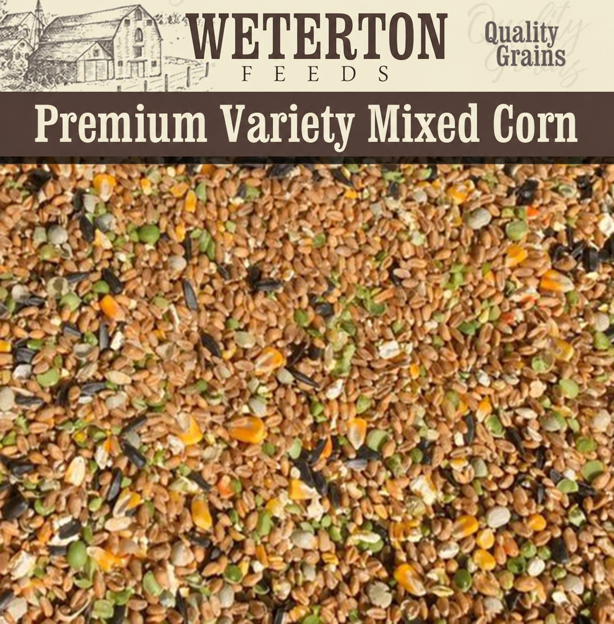 Premium Variety Mixed Corn