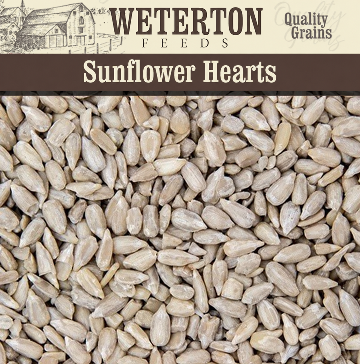 Sunflower Hearts – Bakery Grade