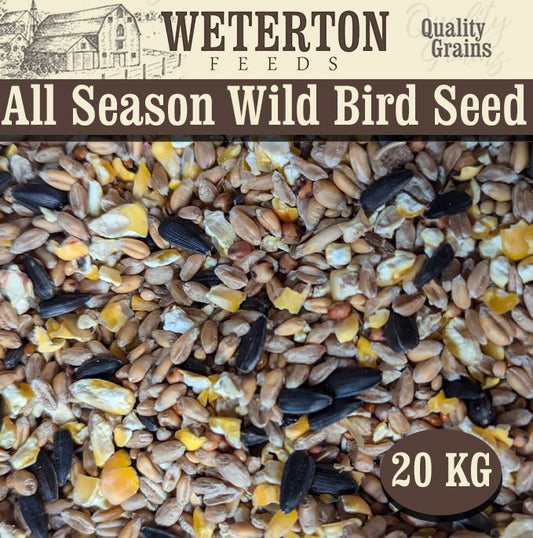 All Seasons Wild Bird Seed Feed 20Kg