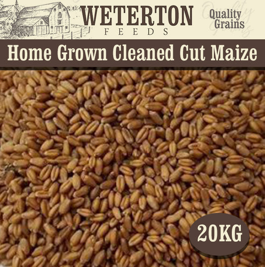 20Kg Homegrown Cleaned Wheat