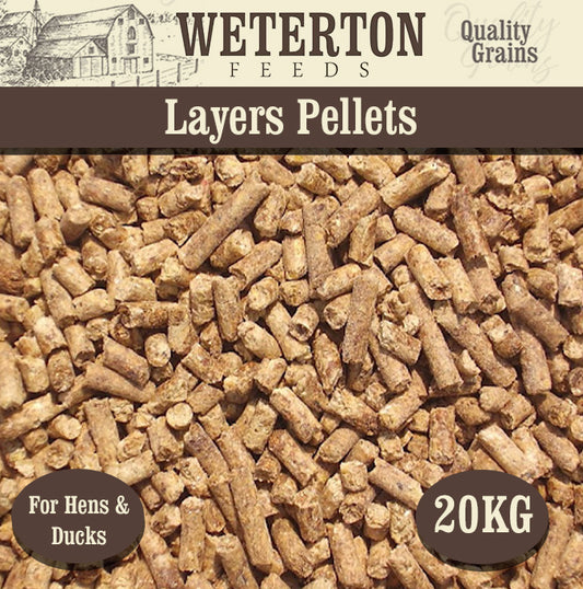 20Kg Bag of Hen Layers Pellets