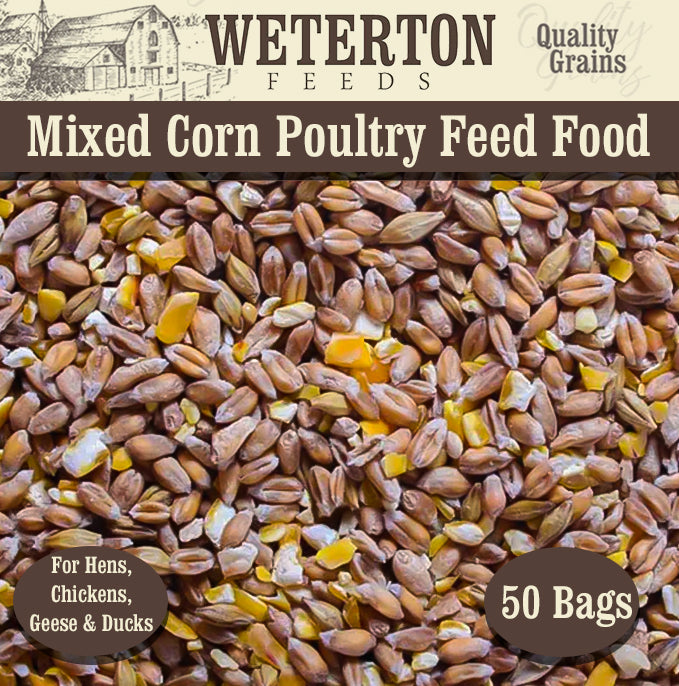 1000Kg Mixed Corn for Poultry 50 x 20Kg Bags