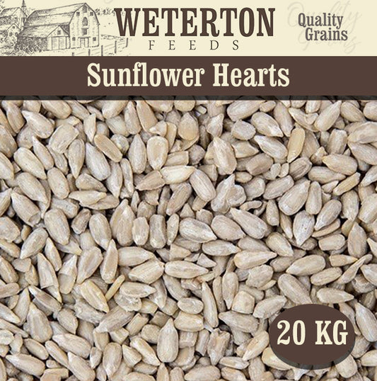 Sunflower Hearts 20kg – Bakery Grade