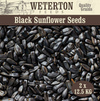 25kg Black Sunflower (2 x 12.5kg)