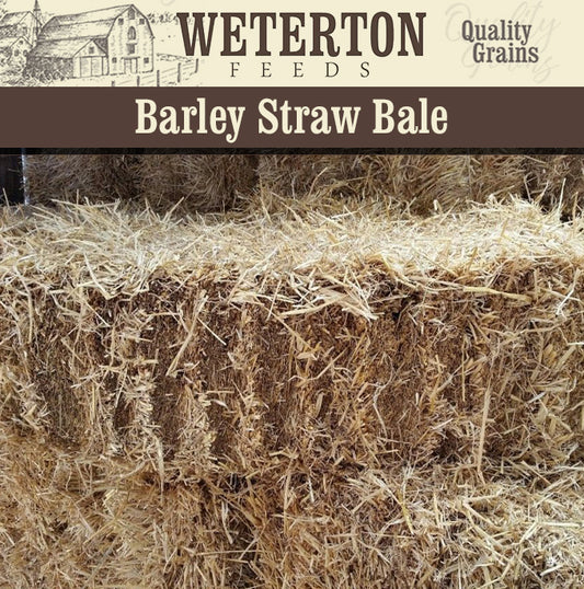 Barley Straw Bale