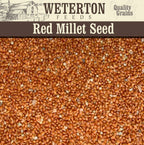 20KG Red Millet Seed
