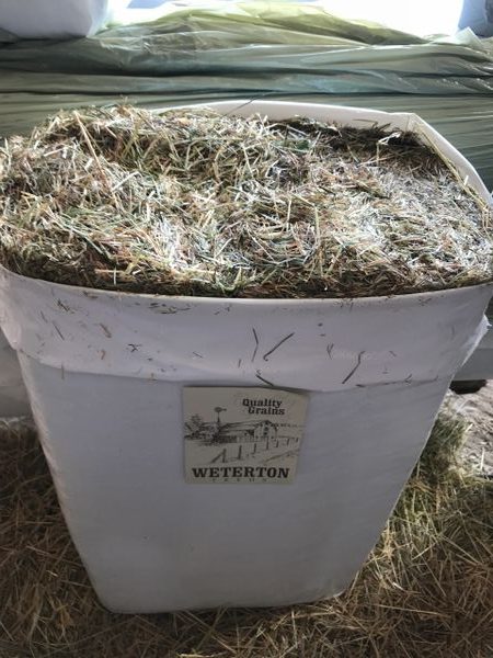 Weterton Feeds 12Kg Hay Bale 2024 Harvest