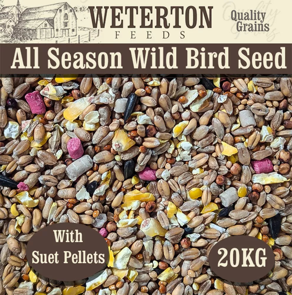 20KG Wild Bird Seed Mixture All Seasons With Suet